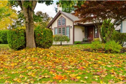 Fall Yard Maintenance Tips for the Homeowner